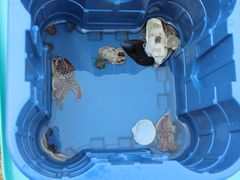 -前王院•巧克力海鲜市集餐厅(万平口店)