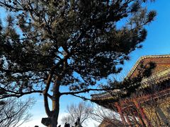 -香山公园