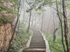 -大连天门山国家森林公园