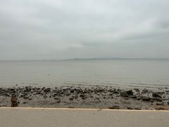 -深圳湾公园(南山区)