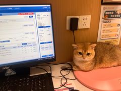 -瑞派康怡24h宠物医院·犬猫医疗中心·微创绝育(瑞景分院)
