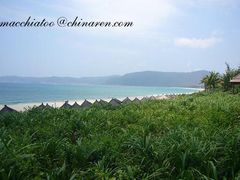 untitled-三亚亚龙湾红树林度假酒店