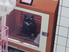 -可蒙动物医院·猫科·骨科中心(首义路店)