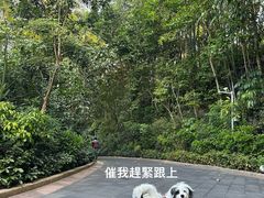 -广州锦绣香江度假别墅