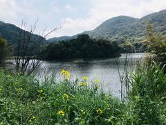 -广州市石门国家森林公园