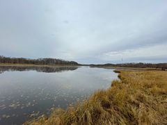 -塞罕坝国家级自然保护区