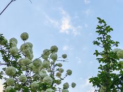 -大龙山(地铁站)