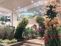 -Bengawan Solo(Changi Airport Terminal 2)