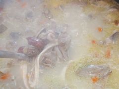 -15年老字号鑫鑫猪肚鸡·椰子鸡海南火锅(兴隆华侨农场店)