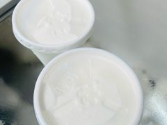-洪馨椰子