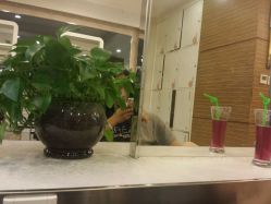 android_upload_pic-LJOY丽锦造型·烫发染发
