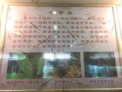 -上海昆虫博物馆