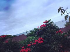 -芭堤雅度假村洲际酒店 - IHG 旗下酒店
