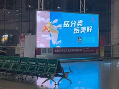 -岳阳站