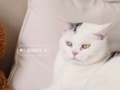 -三仟津花园咖啡馆