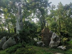 -东湖落雁景区