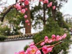 -成都杜甫草堂博物馆