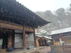 -龙兴寺