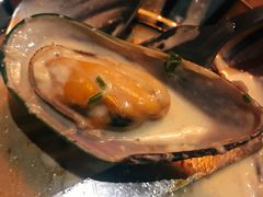 荷兰肉丸-SISTERS BAR RESTAURANT川意酒馆(嘉善老市H楼店)