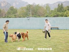 -趣玩宠物乐园寄养训犬训狗游泳池
