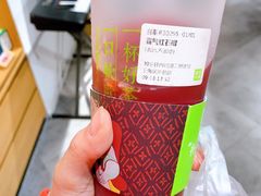 霸气红石榴-奈雪的茶(中海环宇荟店)