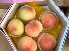 -南汇水蜜桃采摘(大团店)