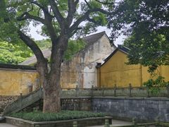 -阿育王寺