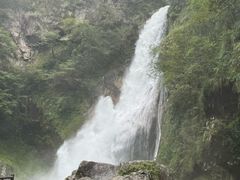 -炎陵县神农谷国家森林公园