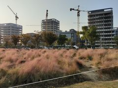 -映月湖中央公园
