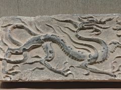 -敦煌市博物馆