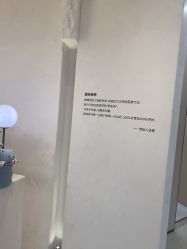 -智美品质医美