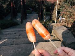 -杭州半山国家森林公园