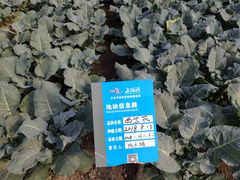 -上膳源有机农场