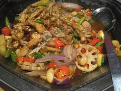 -蛙来哒(友谊阳光城店)
