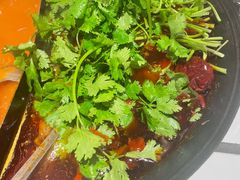 -朱光玉火锅馆(正弘城店)