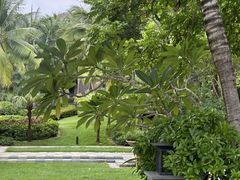 -海南清水湾莱佛士酒店