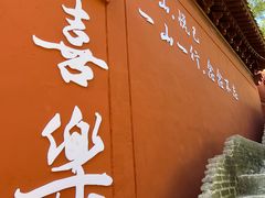-沂蒙山旅游区云蒙景区(蒙山国家森林公园)