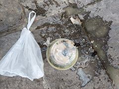 -蒋村酒楼(河渚街店)