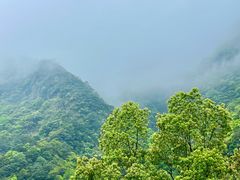 -宁波五龙潭景区