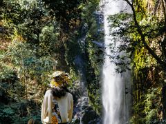 -莫里热带雨林景区