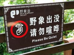 -野象谷景区