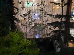 -昼夜咖啡馆