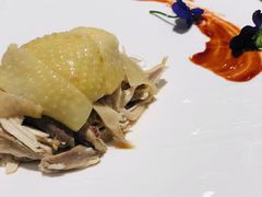 -蝶园·装修中(BFC外滩金融中心店)