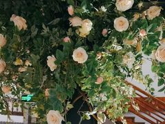 -鲁城往事(游客中心店)