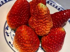 -蘇锦宴·淮扬菜烤鸭·小院(三元桥霄云路店)
