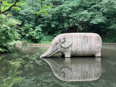 -紫霞湖公园