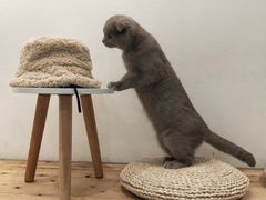 -颐玖 咖啡|甜品