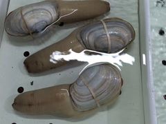 -南沙十九涌渔人码头-南门