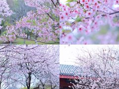 -堤角公园