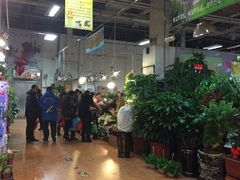 -大自然花鸟鱼虫市场